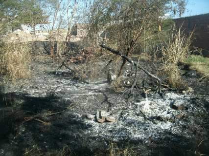  Durante tempo seco, homem coloca fogo em vegetação e é multado