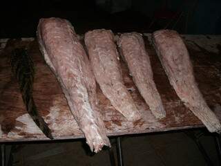 Foram apreendidos 27 quilos de carne de jacaré. (Foto: Divulgação)
