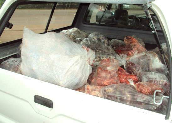  Mais de 1 tonelada de carne irregular &eacute; apreendida em opera&ccedil;&atilde;o