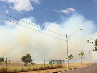 Parque Mata do Segredo foi tomado pelo fogo neste sábado (Foto: Henrique Kawaminami)