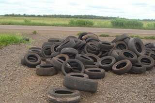 Vários pneus foram encontrados a beira de rodovia em Campo Grande (Foto: Repórter News)