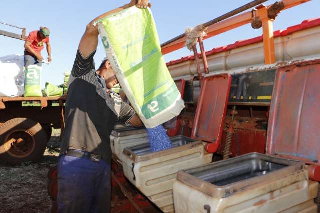 Produtor abandona lavoura embaixo d&rsquo;&aacute;gua e perde nove mil sacas de soja