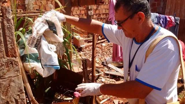 Mutir&atilde;o encontra infesta&ccedil;&atilde;o baixa de Aedes em bairros da regi&atilde;o norte