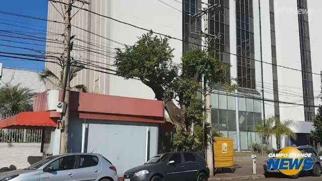 Dono de banca aguarda h&aacute; 8 meses remo&ccedil;&atilde;o de tronco de &aacute;rvore condenada