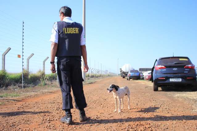 Fam&iacute;lia do dono quer levar para casa c&atilde;o que vive no p&aacute;tio do Detran