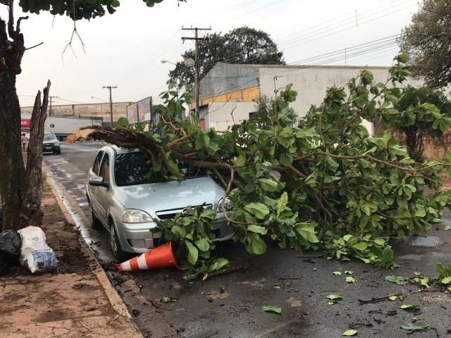 Carro em movimento &eacute; atingido por galho durante chuva e ventos fortes