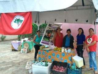 Grupo de Mulheres Raízes do Cerrado participam de feiras de orgânicos pelo Estado e pelo Brasil (Fotos: Lucas Arruda)