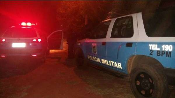 Mulher mata pitbull a pauladas para defender cachorro de agress&atilde;o 