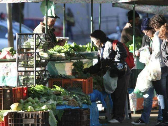 Com frio, venda de legumes para a sopa salvam dia na feira de org&acirc;nicos