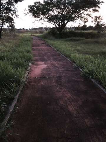 Fechado h&aacute; 7 anos, parque permanece abandonado e &aacute;rea est&aacute; sendo degradada