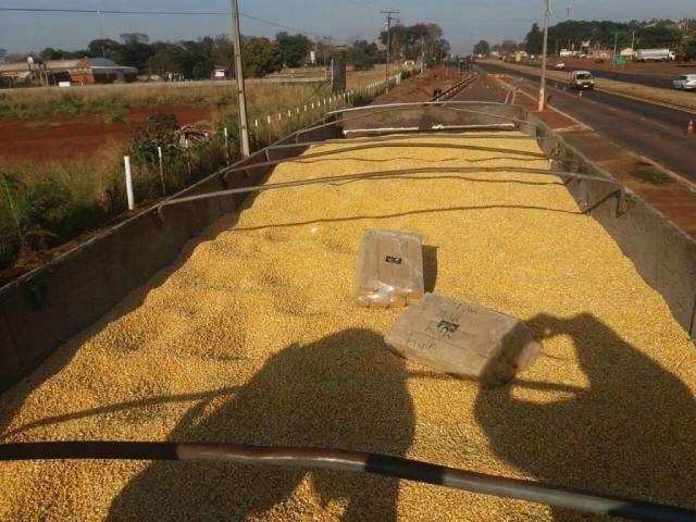 PRF apreende carga de maconha escondida em milho que iria para SP