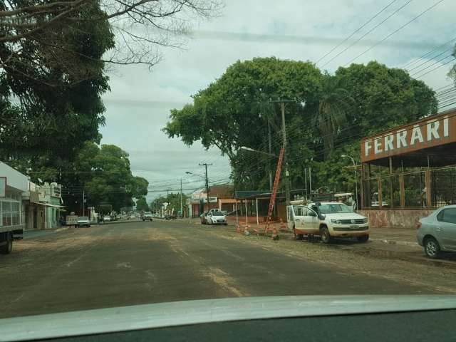 Tr&acirc;nsito na Bandeirantes &eacute; liberado ap&oacute;s retirada de jatob&aacute; de 25 metros