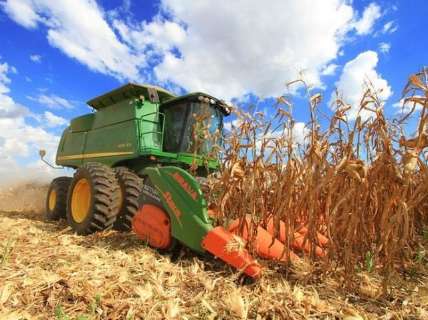 Produção de grãos em MS cresce 40%, alta acima da média nacional