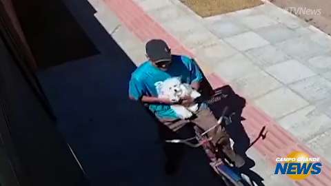 Câmeras de segurança flagram furto de poodle na porta de casa em Campo Grande