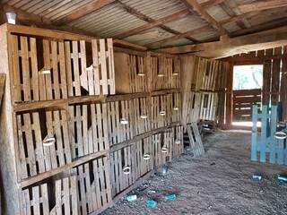 Gaiolas onde galos de briga eram mantidos, em uma propriedade rural em Dourados (Foto: Divulgação)