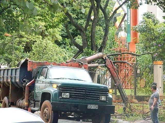 Semadur ir&aacute; remover e podar 124 &aacute;rvores que oferecem risco &agrave; popula&ccedil;&atilde;o