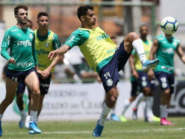 Palmeiras visita Fortaleza a fim de encurtar dist&acirc;ncia para o Flamengo