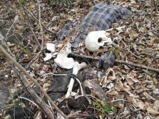 Restos mortais e peças de roupa estavam em mata no alto de morro, em Corumbá. (Foto: Direto das Ruas) 