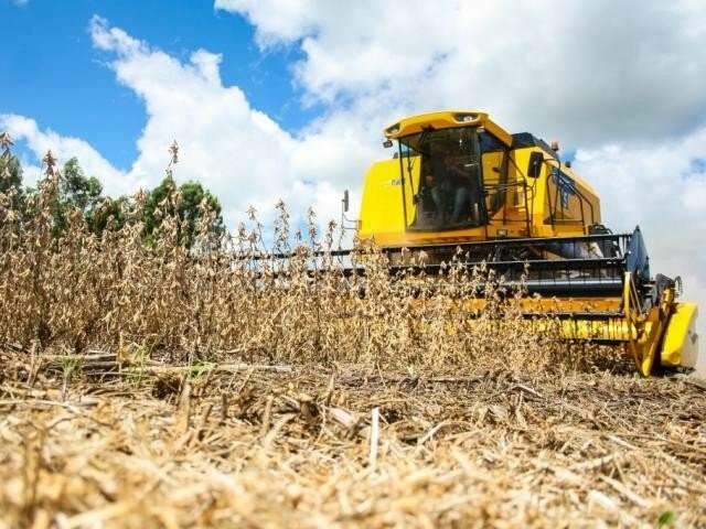 Aplica&ccedil;&atilde;o do cr&eacute;dito rural da atual safra alcan&ccedil;a R$ 117,6 bilh&otilde;es