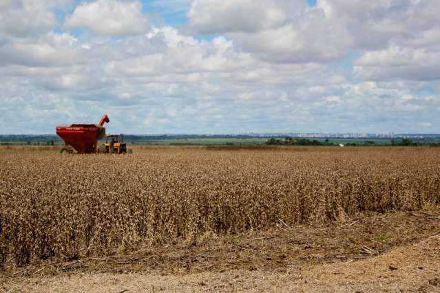 Nova fiscaliza&ccedil;&atilde;o de seguro rural &eacute; baseada em amostragem aleat&oacute;ria