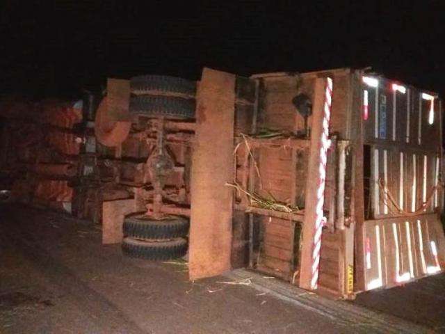 Condutor tomba caminh&atilde;o carregado de boi em anel vi&aacute;rio