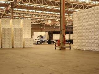 Celulose segue como principal item da pauta de exportações do Estado. (Foto: Arquivo)