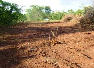 Fazendeiro tinha em propriedade 10 hectares de área destruída (Foto: PMA)