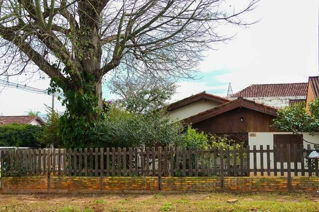 Casa inspirada no sul vira cart&atilde;o postal em bairro quando paineira come&ccedil;a florir