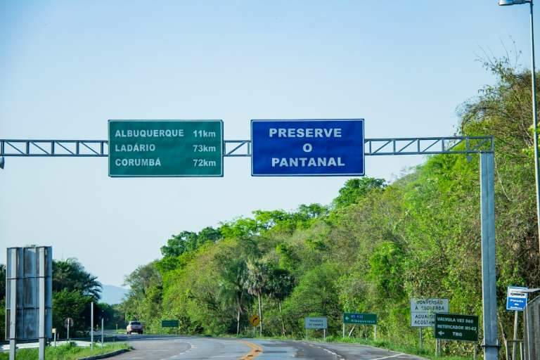 Placas pedem preservação do Pantanal na BR-262. (Foto: Kisie Ainoã)