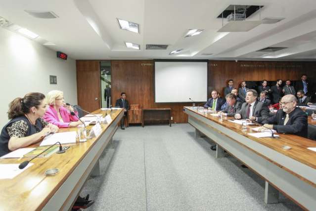 Senador pede ajuda de ministra para resgatar produ&ccedil;&atilde;o de erva-mate no Estado