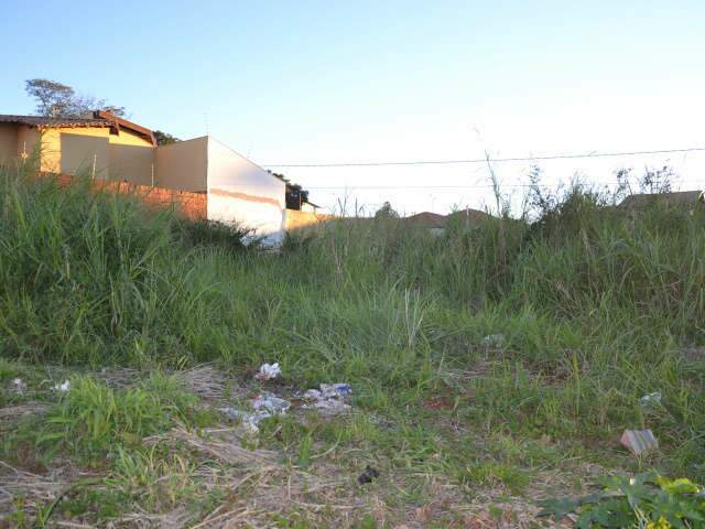 Vizinha reclama de transtornos por causa de terreno p&uacute;blico com matagal