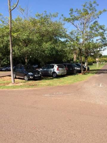 Motoristas estacionam em canteiro de rua no Parque dos Poderes