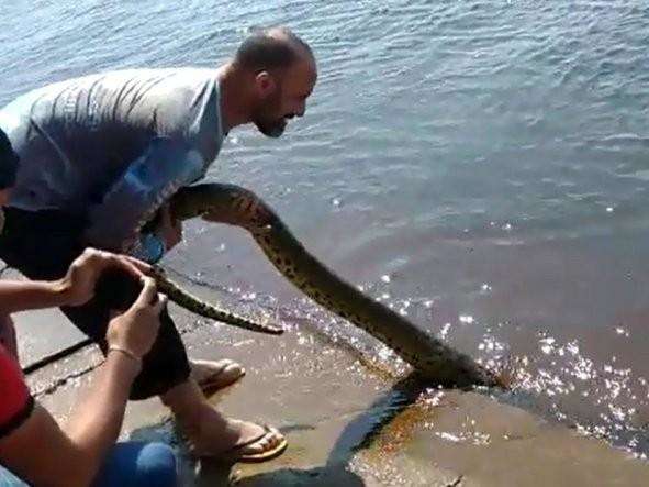 PMA multa em R$ 500 turista mineiro que foi filmado maltratando sucuri