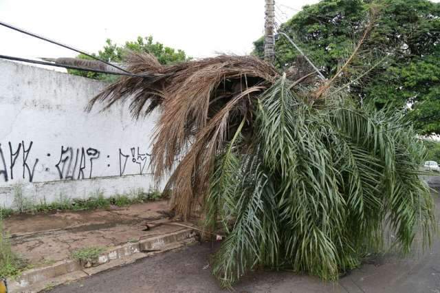 Ao menos 13 bairros da Capital tiveram registro de queda de energia ap&oacute;s chuva