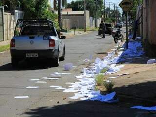 Na avenida Tiradentes, panfletos foram jogados em extensão de duas quadras (Foto: Marina Pacheco)