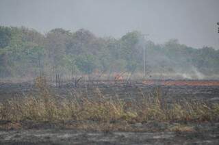 Incêndio começou por volta das 7h30 e destruiu uma área de seis hectares (Foto: Marcelo Calazans)