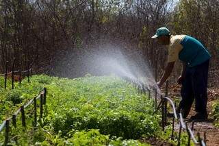 Agora, agricultores familiares podem ser reconhecidos como categoria profissional (Foto: Divulgação/MDS)