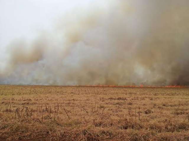 Policiais perseguem adolescentes por tentativa de homic&iacute;dio e incendeiam lavoura