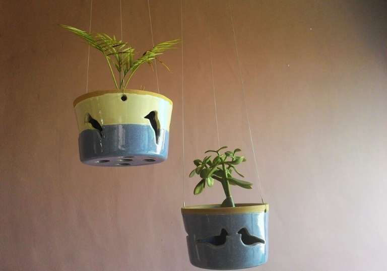 Vasos de plantas