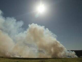 Incêndio em terreno em Campo Grande, neste sábado (29). Número de registros em julho teve aumento de 87% em todo o estado. (Foto: João Paulo Gonçalves)