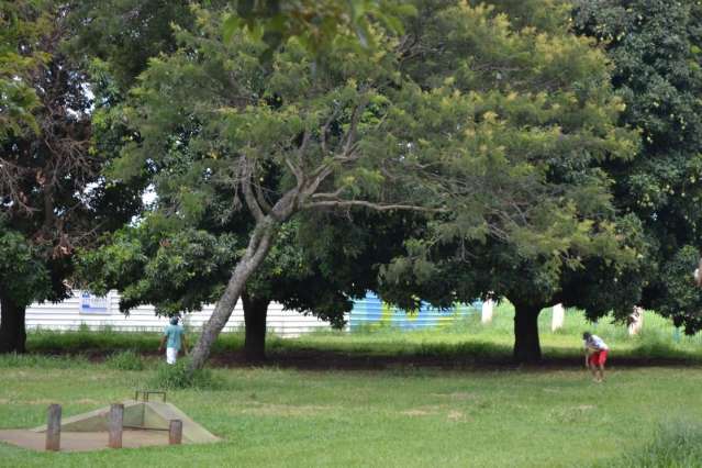 Na cidade mais arborizada, a divers&atilde;o &eacute; colher frutas