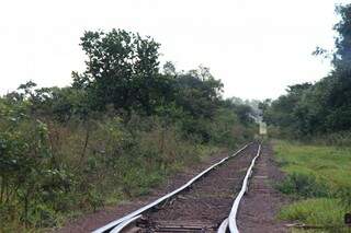 Trilhos estão sendo desativados, segundo Sindicato dos Trabalhadores em Ferroviárias de Bauru e Mato Grosso do Sul (Foto: Fernando Antunes)