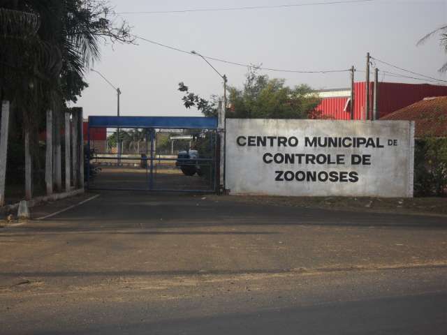 ONG den&uacute;ncia CCZ por matar animais sem nenhum crit&eacute;rio, em Tr&ecirc;s Lagoas