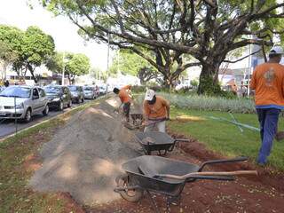 Trabalhadores fazem compactação do solo. (Foto: Minamar Júnior)