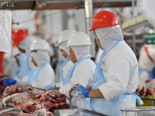 Operação Carne Fraca paralisou atividades em frigoríficos em março. (Foto: Fiems)