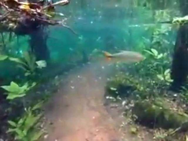 Cheia eleva n&iacute;vel de rio e imagens de trilha debaixo d&#039;&aacute;gua impressionam 