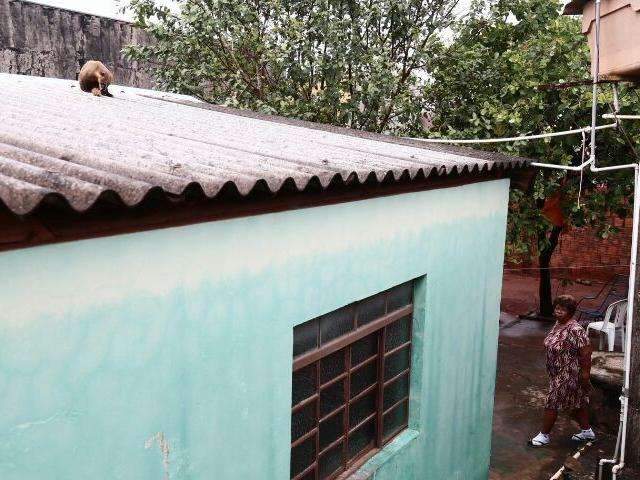Quati sobe em telhado e bombeiros s&atilde;o acionados para ajudar na captura