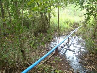  Pol&iacute;cia Ambiental multa dono de suinocultura em R$ 10 mil  