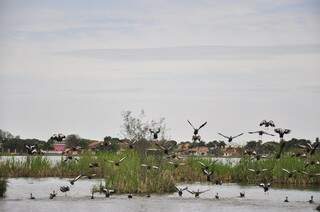 Da fama por ter &quot;três lagoas&quot;, cidade do leste de MS ganha destaque com a produção de celulose e investimentos bilionários (Foto: João Garrigó)