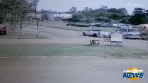 Vídeo mostra momento em que comerciante da Capital foi morta na fronteira